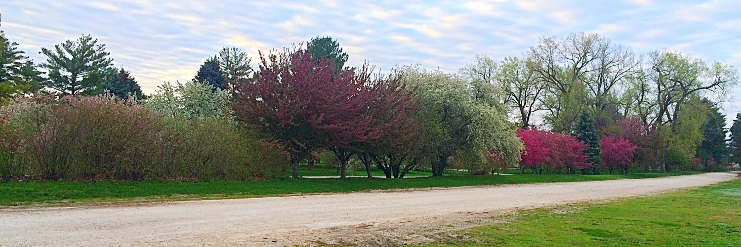 Road Rhumba - April 2015