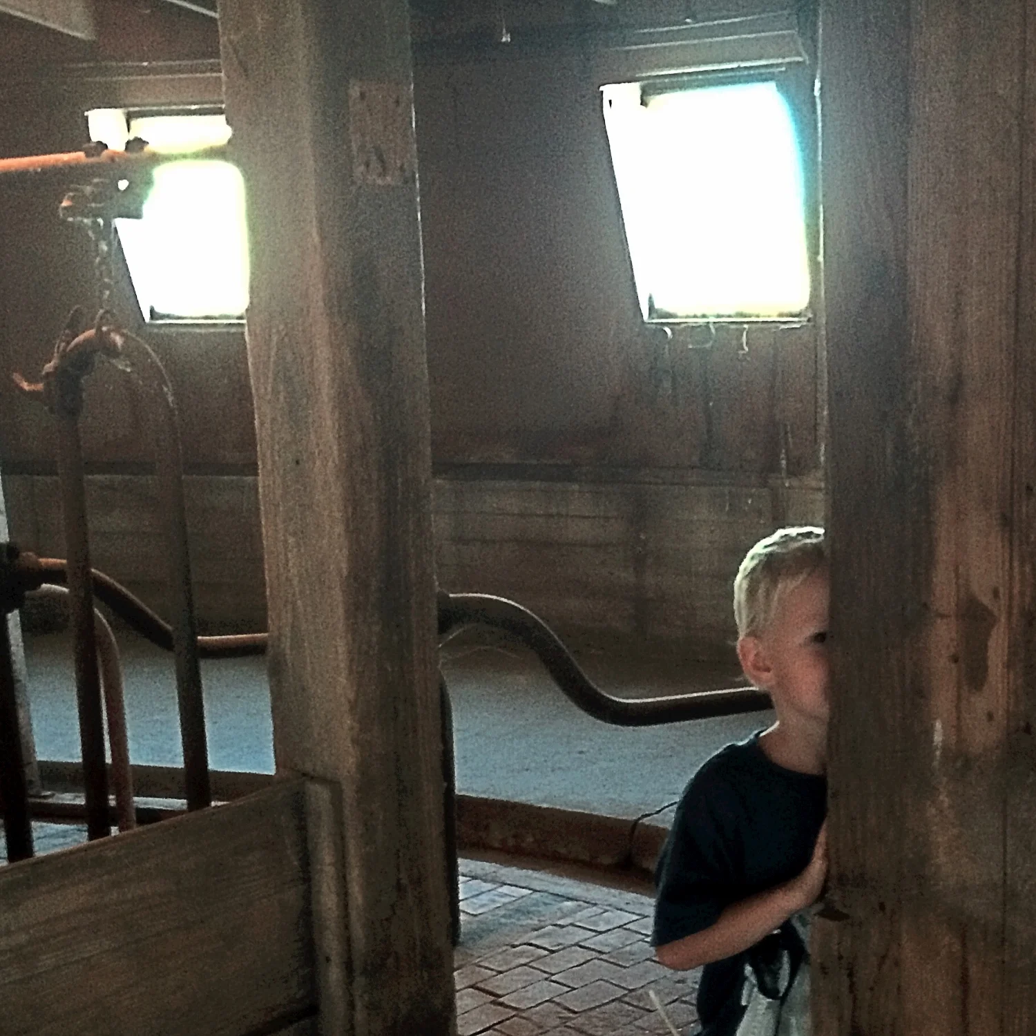 Barn Sprite