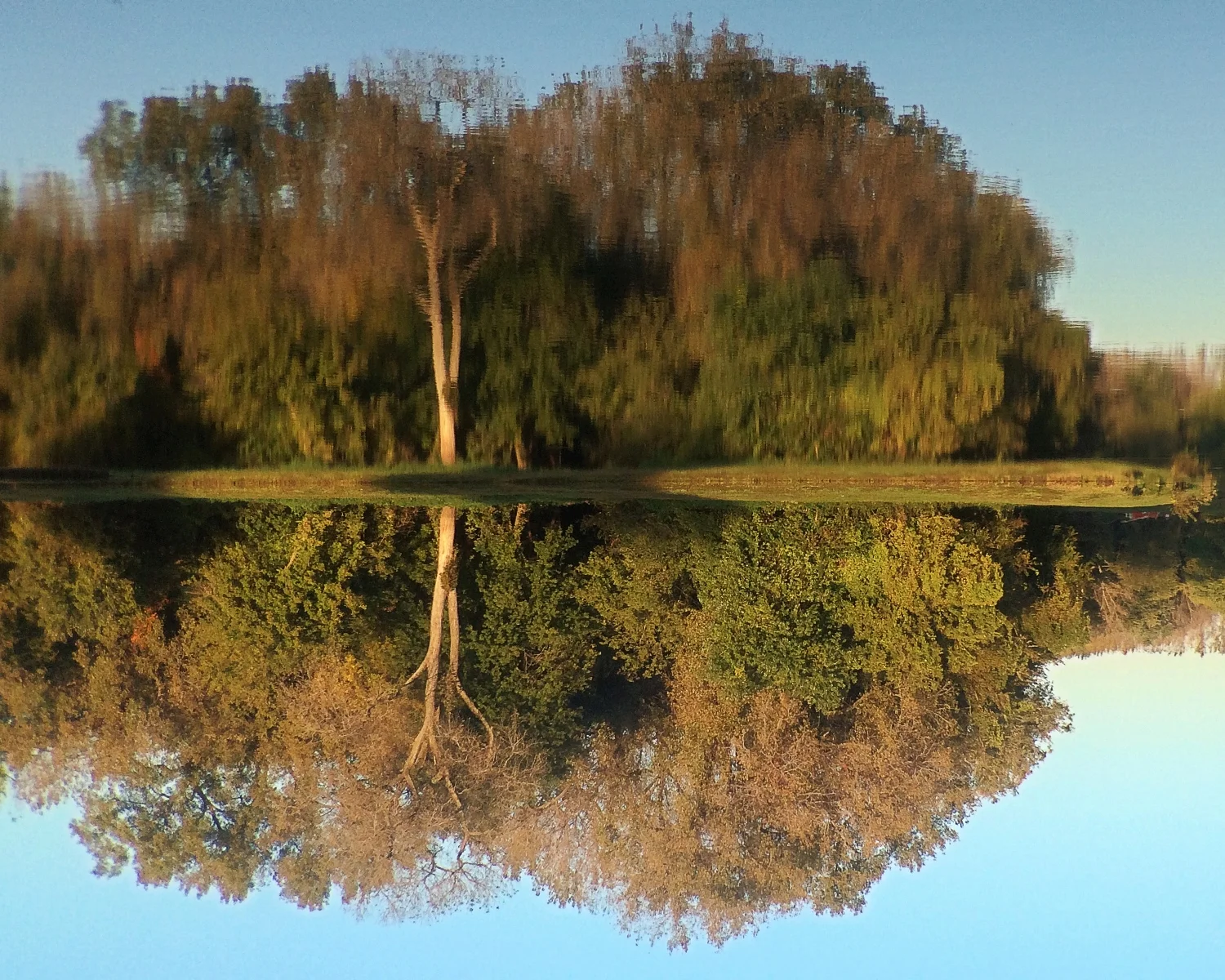 What the Mirror Saw - October 2015