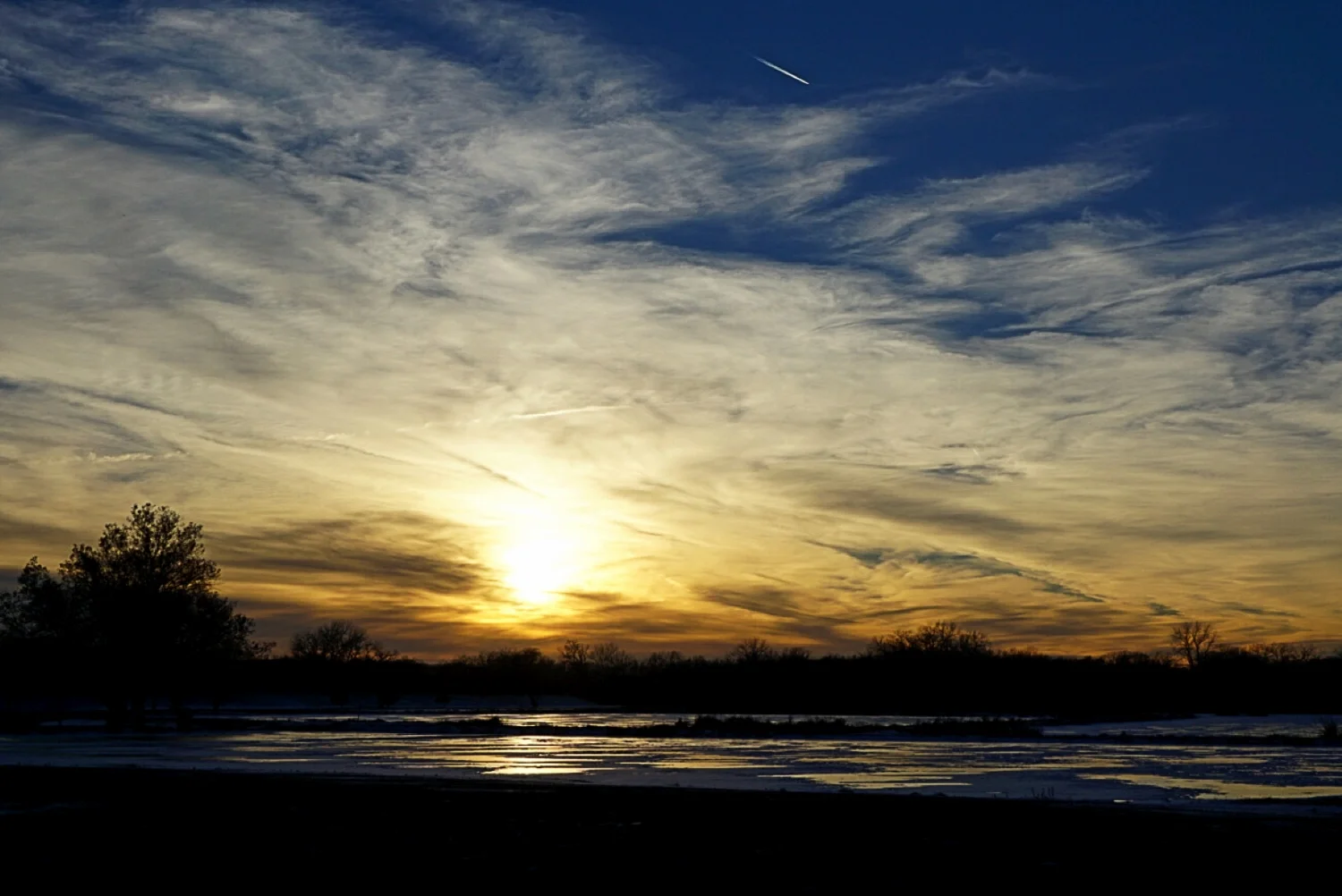 Winter's Brushstrokes - December 2016