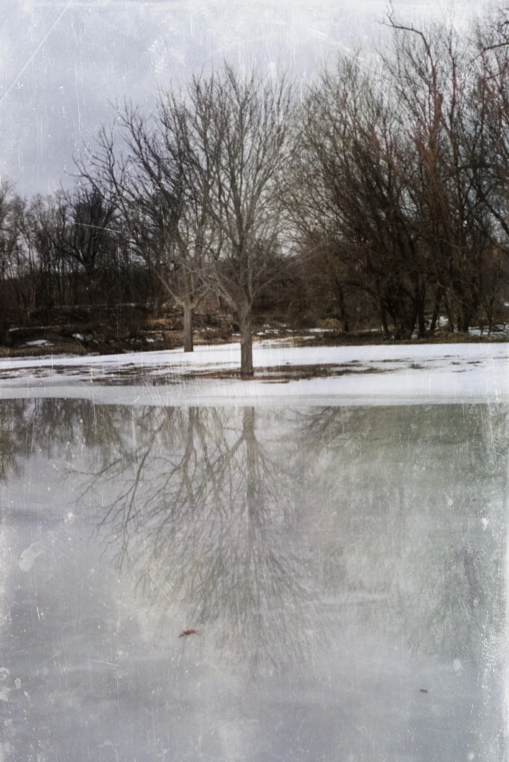 Marooned - January 2016
