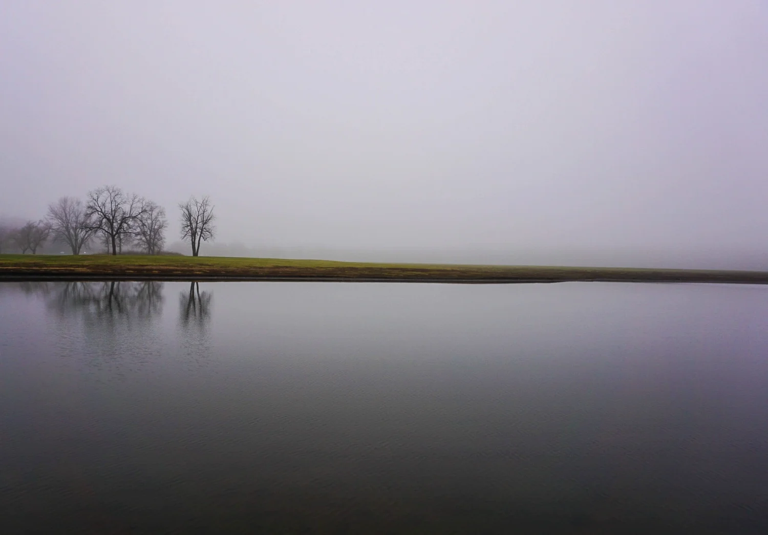 Still Life - December 2015