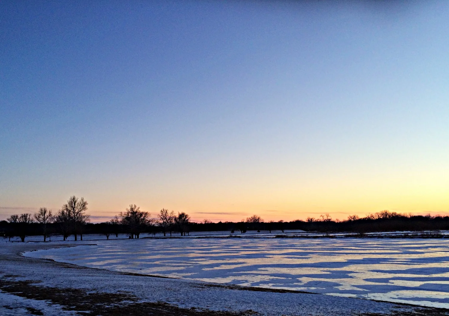 Zebra Ice - February 2015