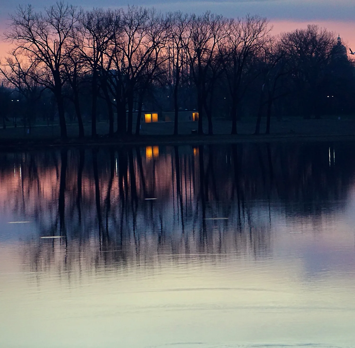 Lights Across the Water - April 2017