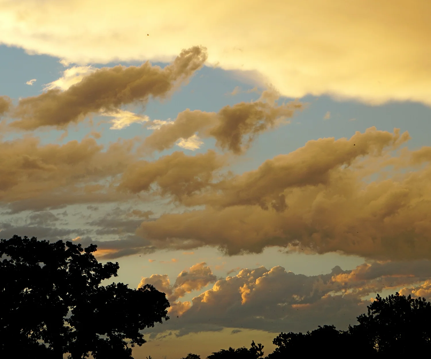 Cloud Painting - June 2017