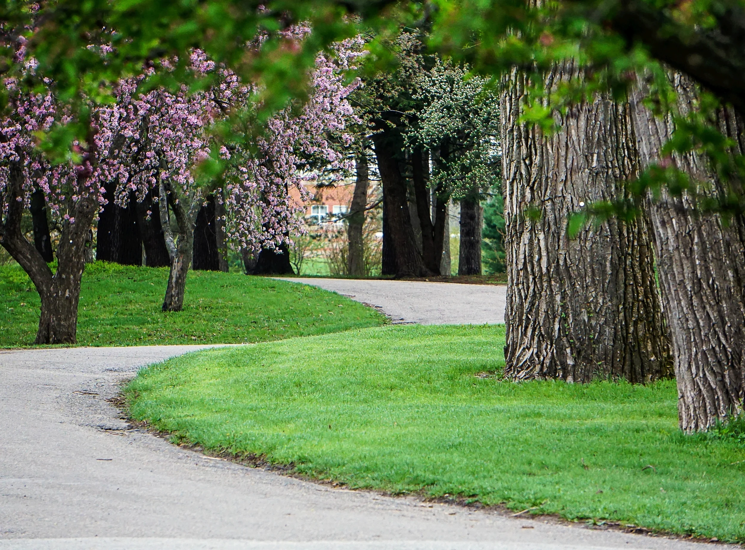A Sweet Meander - May 2018