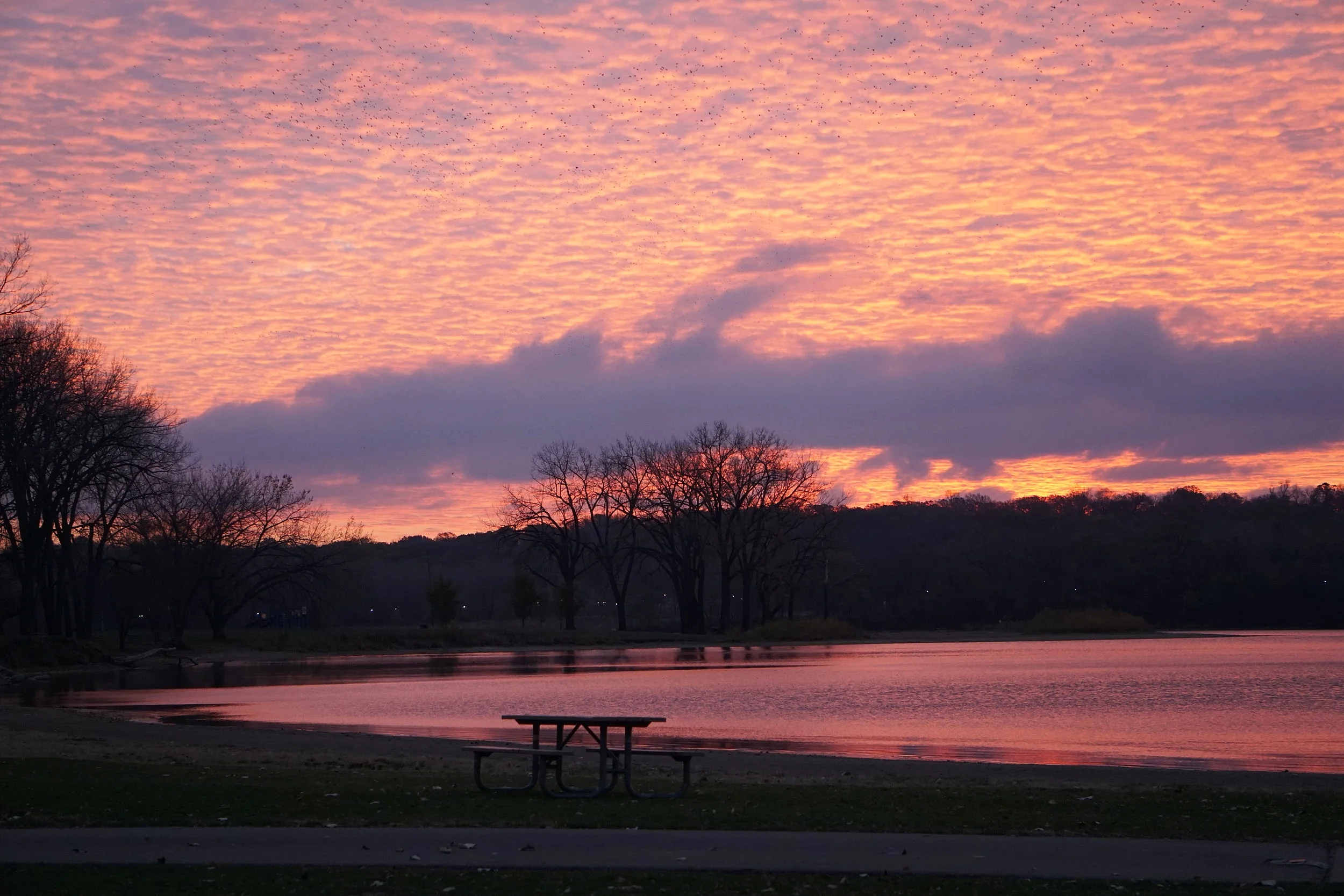 Picnic Table at Dawn - November 2017
