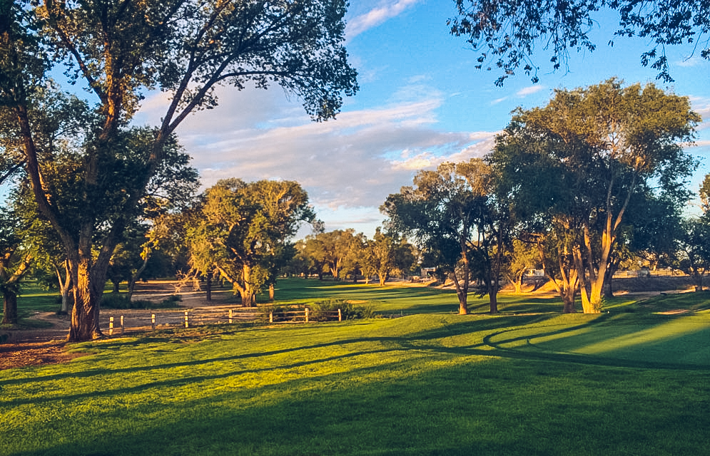 UNM North Golf Course DGC