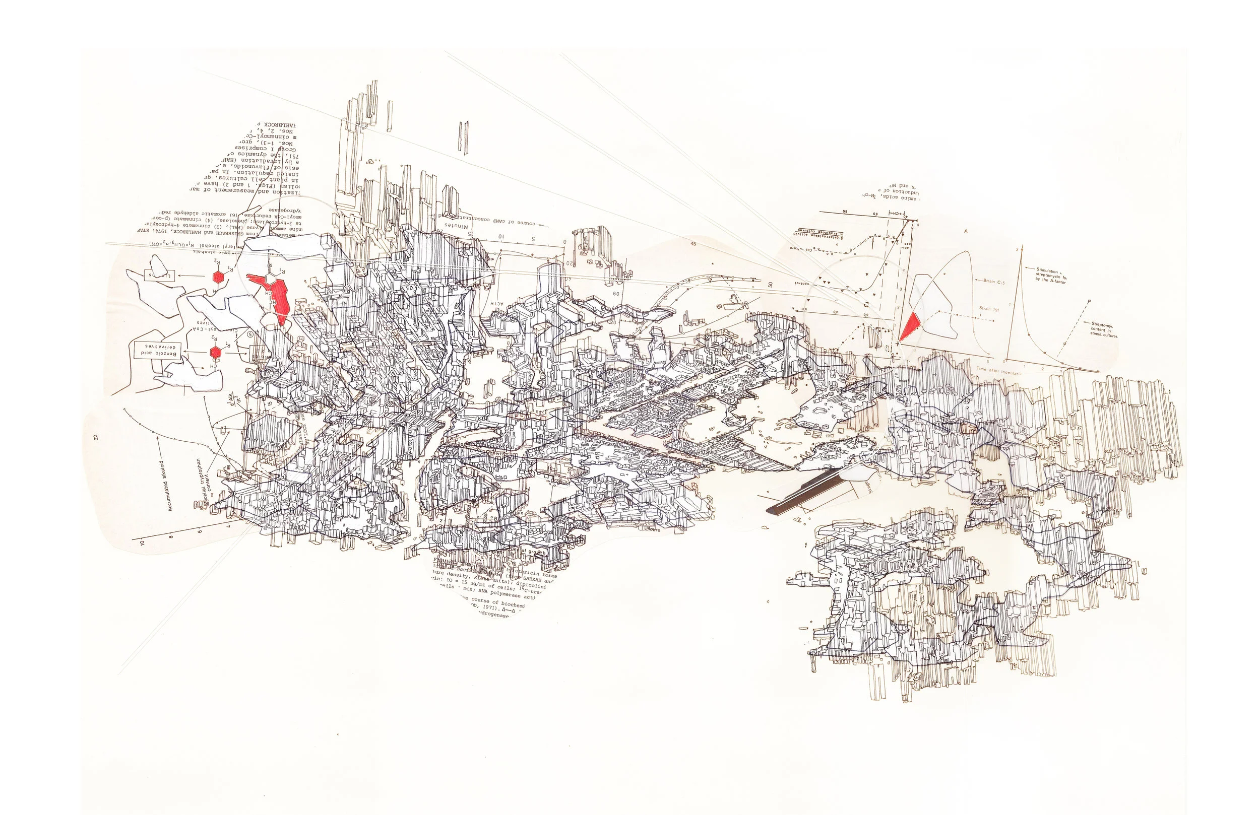 click to enlarge.