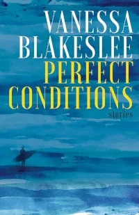 Perfect Conditions , Vanessa Blakeslee. Curbside Splendor, August 2018. 300 pp.