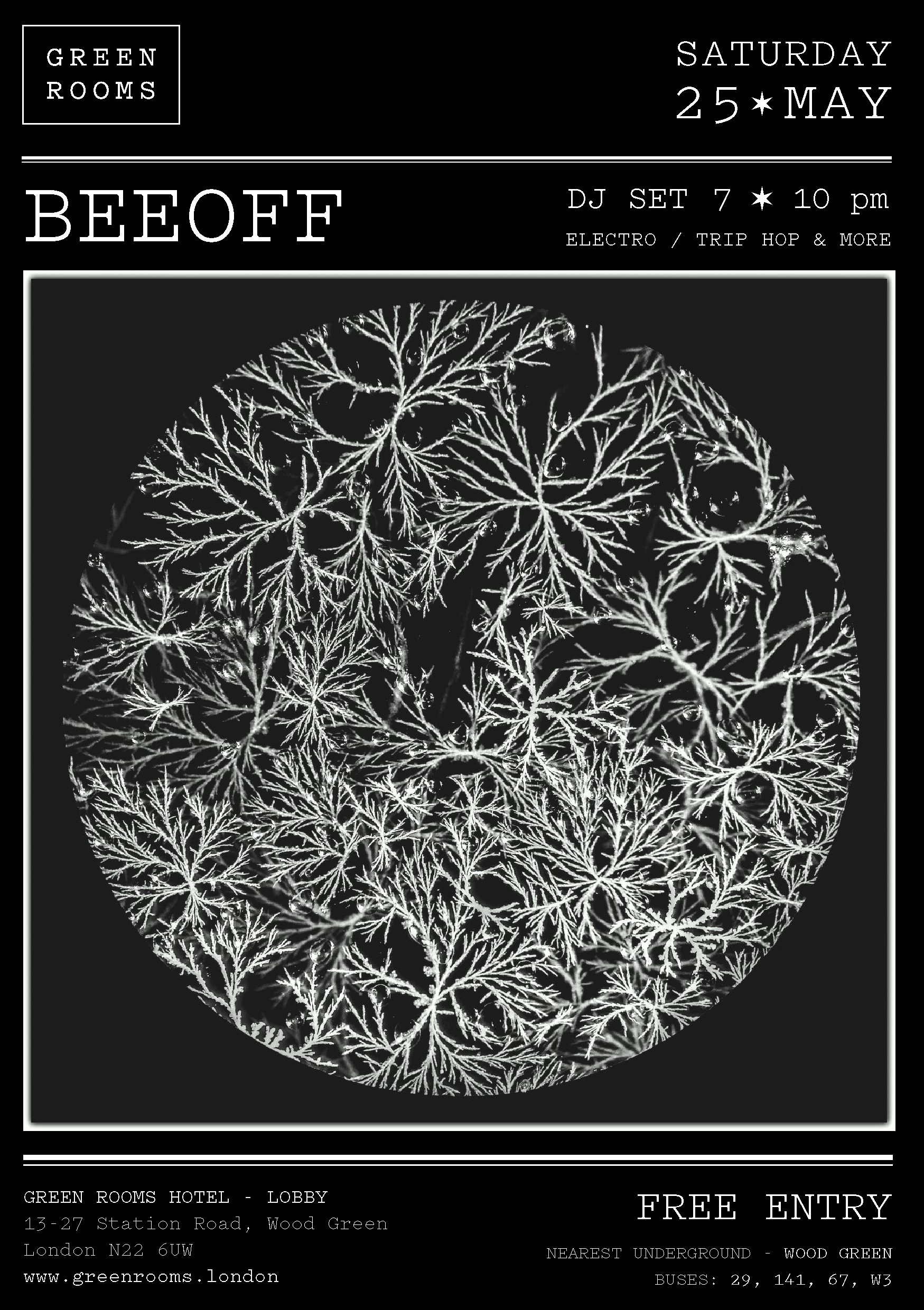 BEE OFF 25 MAY EVENT.jpg