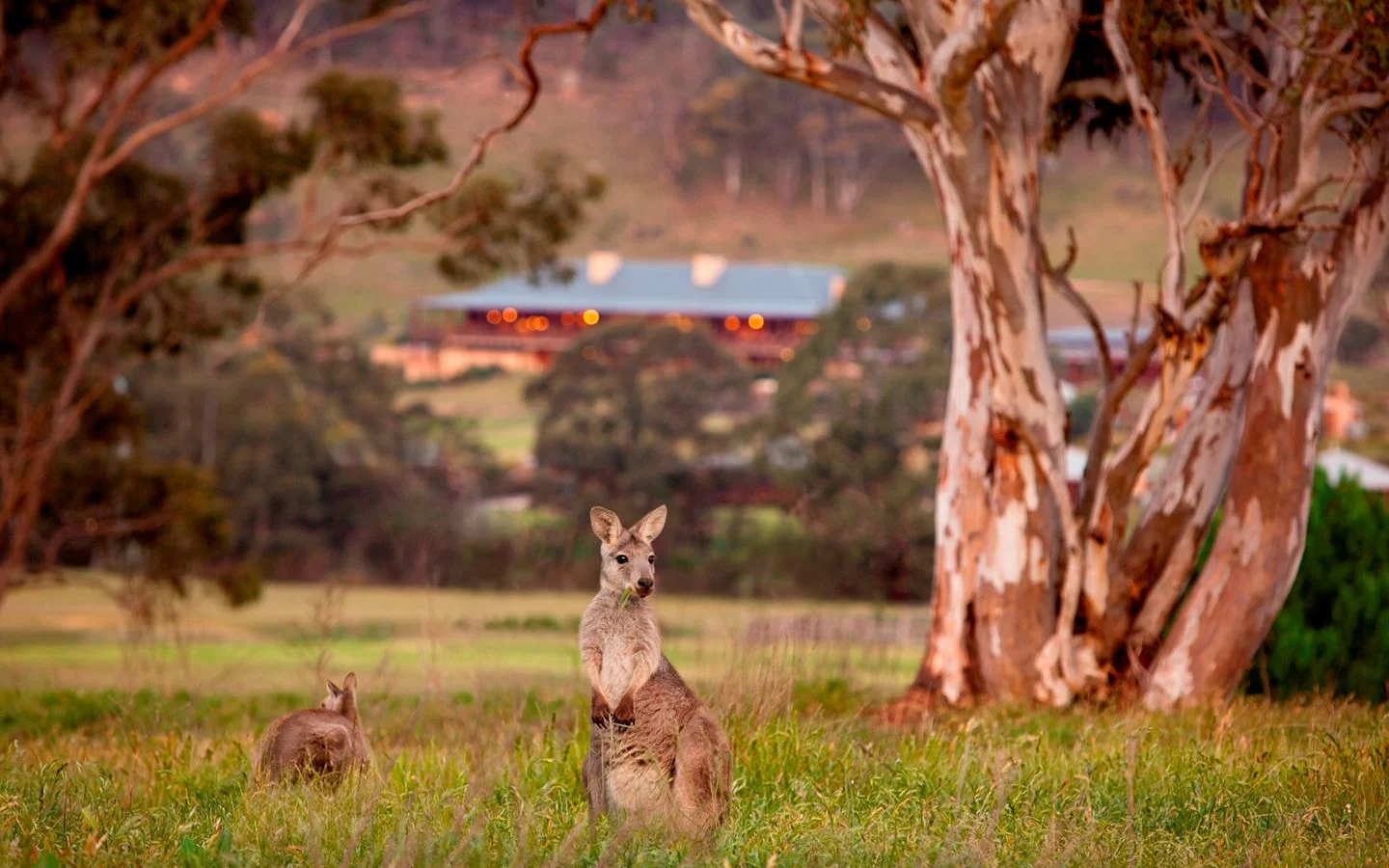 Emirates One&Only Wolgan Valley, the Blue Mountains, Australia