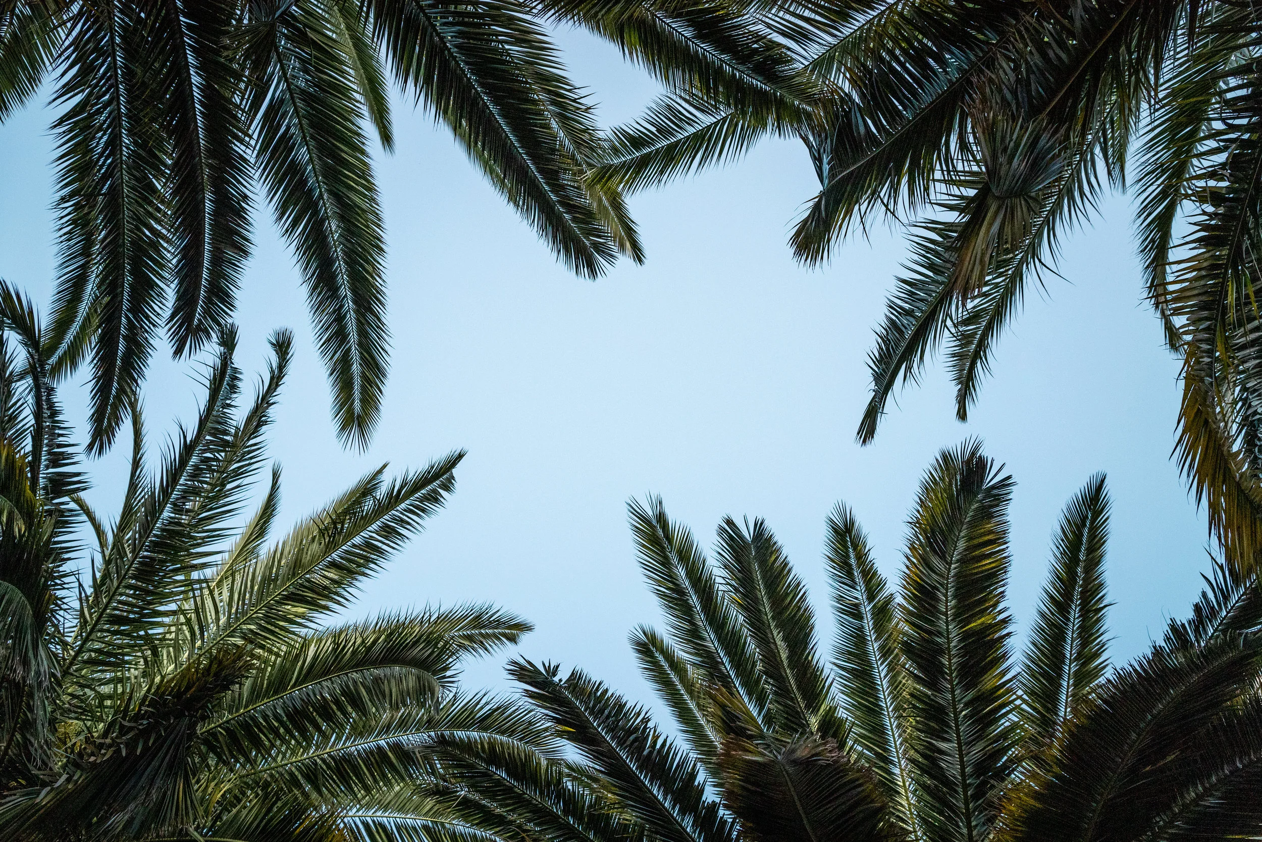 INSPIRATION  | Columns for Condé Nast Traveller