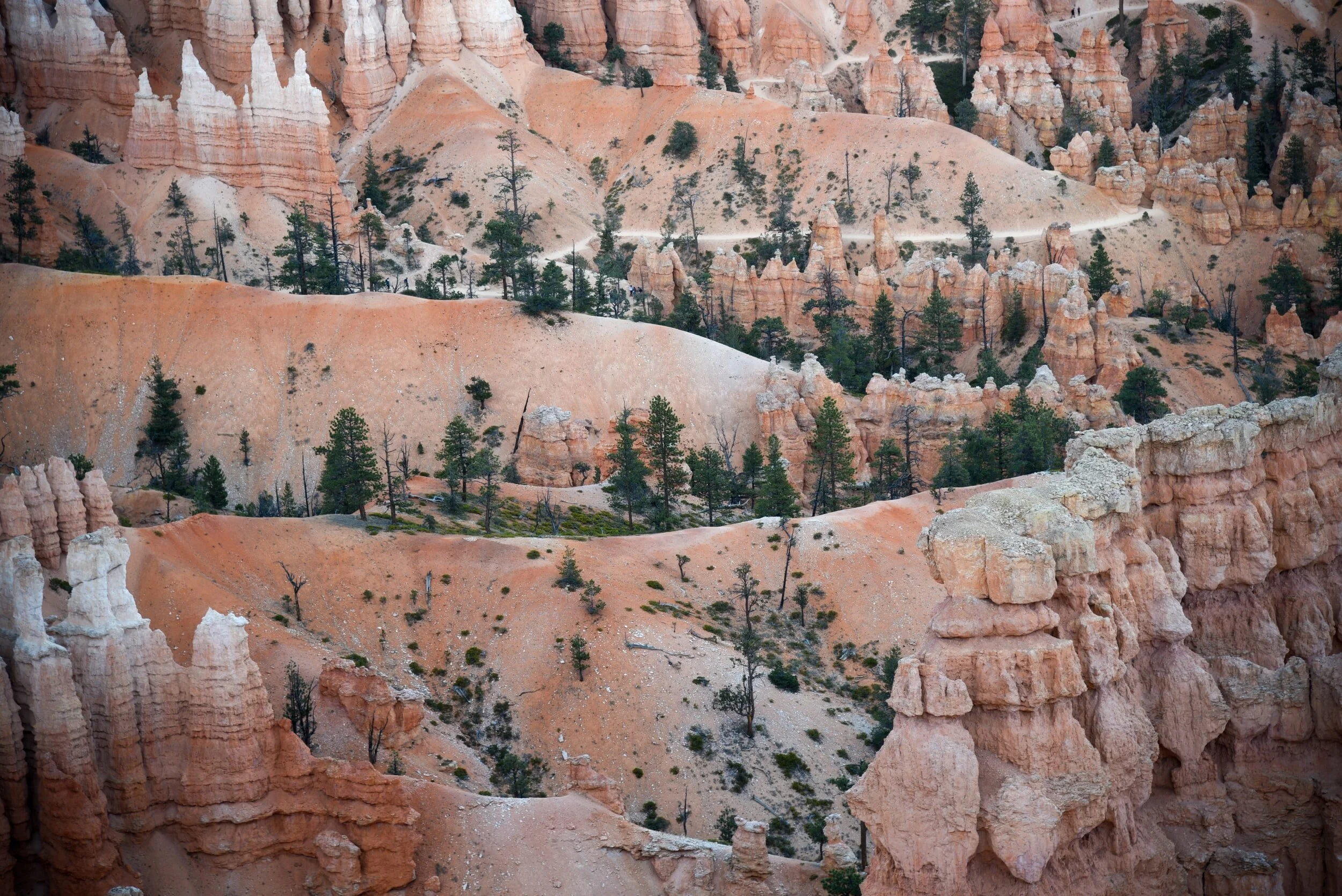 Winter 20/21 newsletter: Living more sustainably in 2021