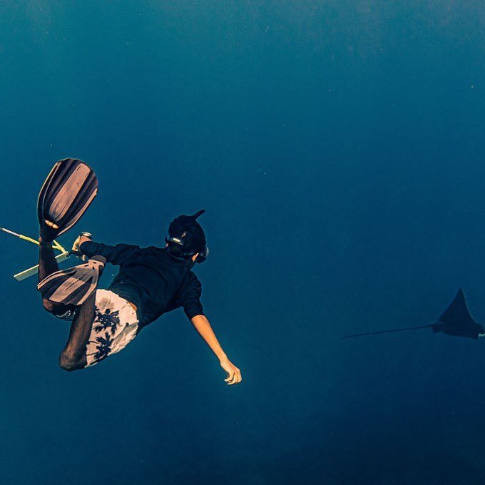 Marine biologists taking guests on guided snorkelling tours is always one of the most powerful ways to experience the magic of nature and the significance of saving it. Spend time with the Maldives&rsquo; magnificent marine life with @discoversoneva 