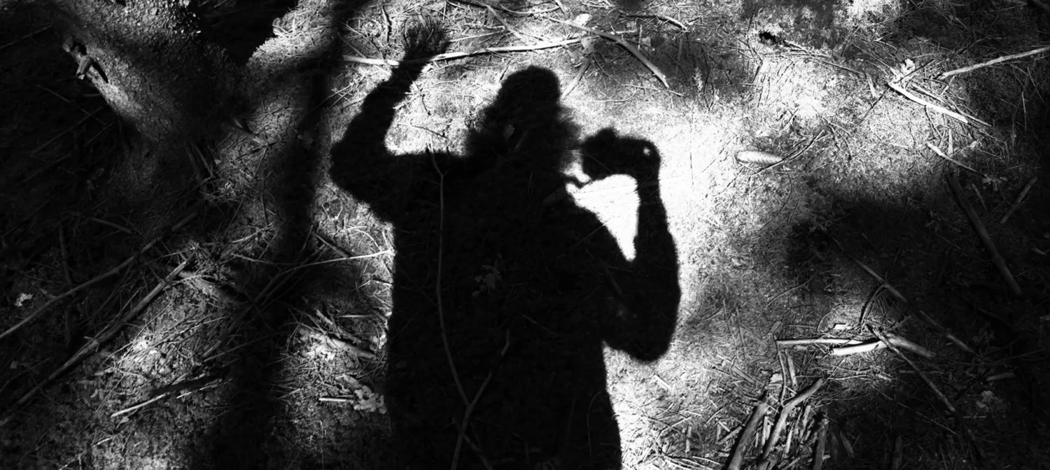 soloturnebild-norgren2018_1920x860_acf_cropped-1.jpg