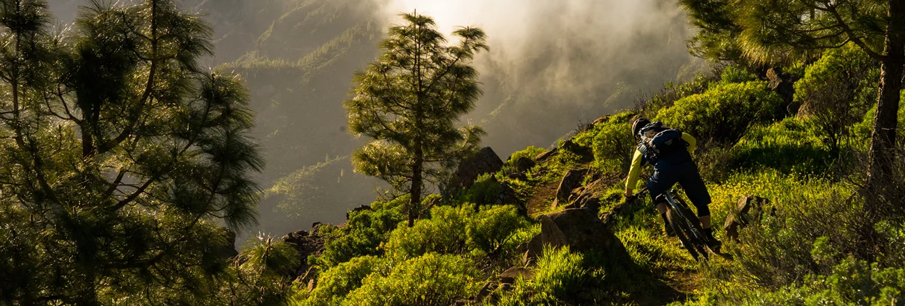 mtbsprocket_header_banner.jpg
