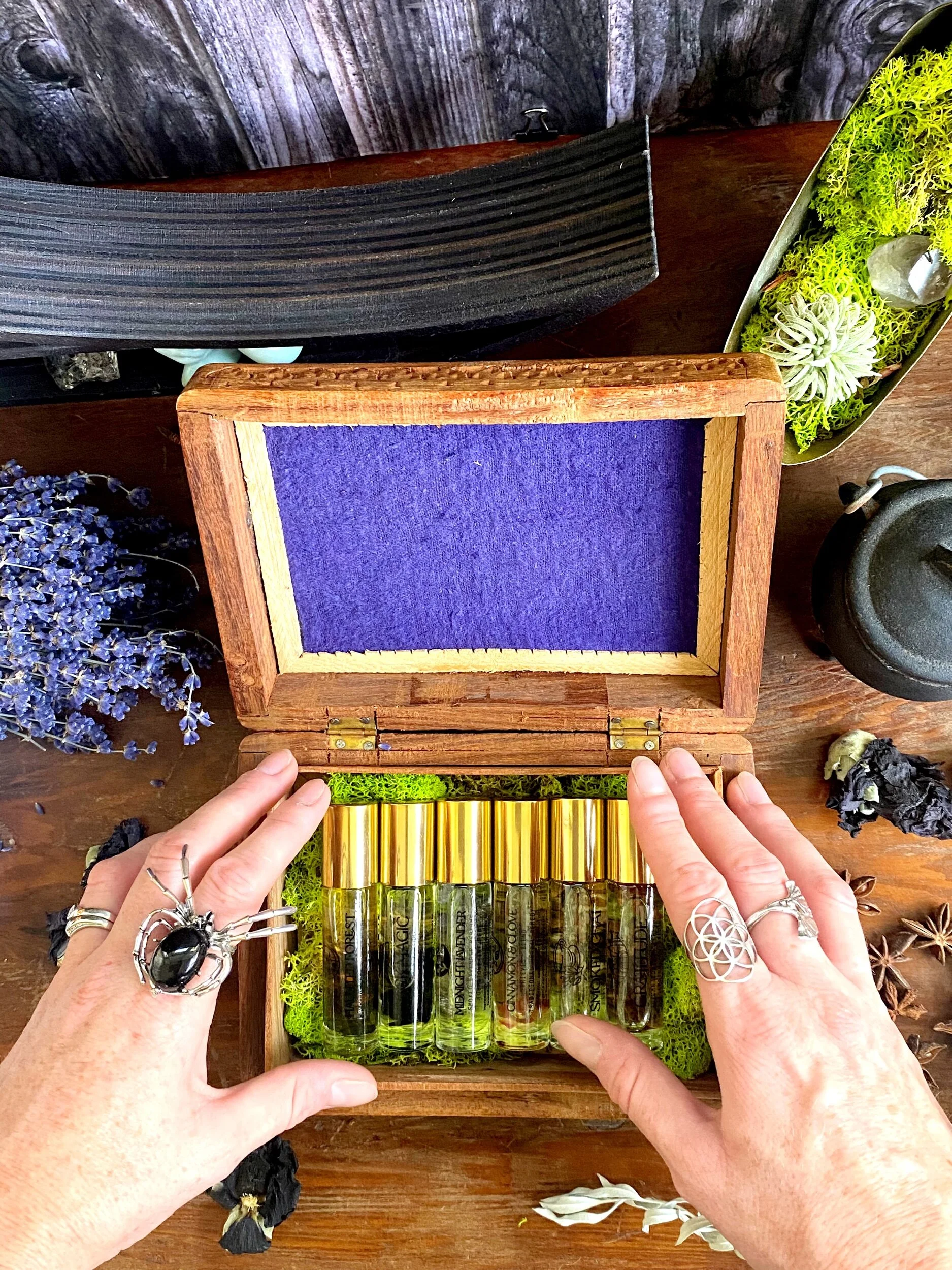 CF18B405-09F4-48B2-A843-CCA2FC7D51CF