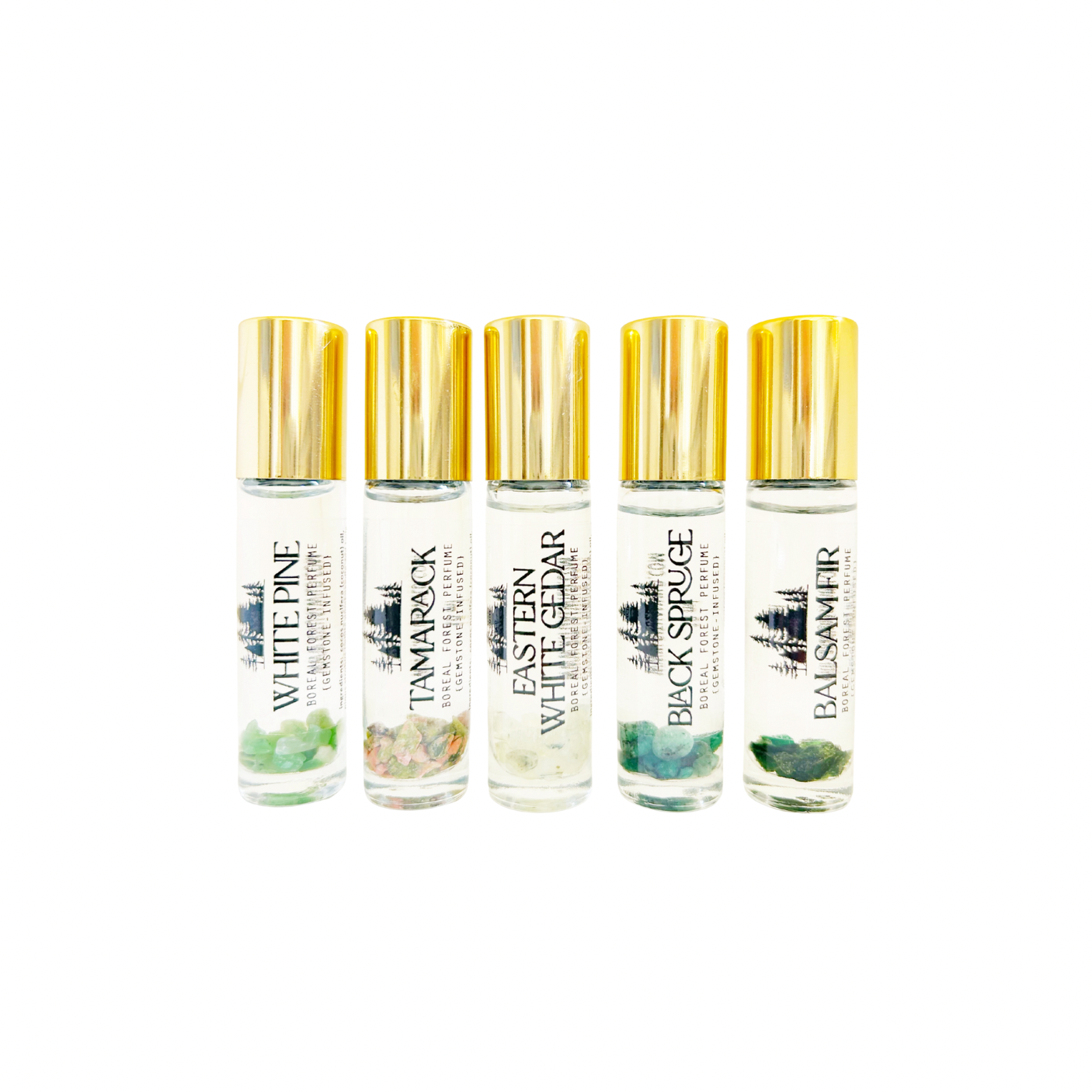 Untitled design - 6.PNG