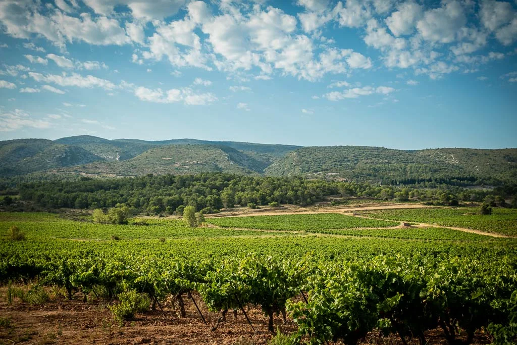 0006-Domaine Py-1024px.jpg