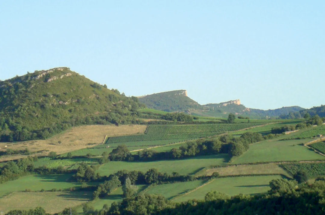bourgogne2.jpg