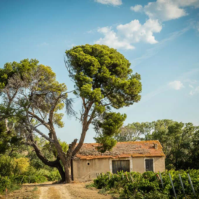 0021-Domaine Py-1024px.jpg