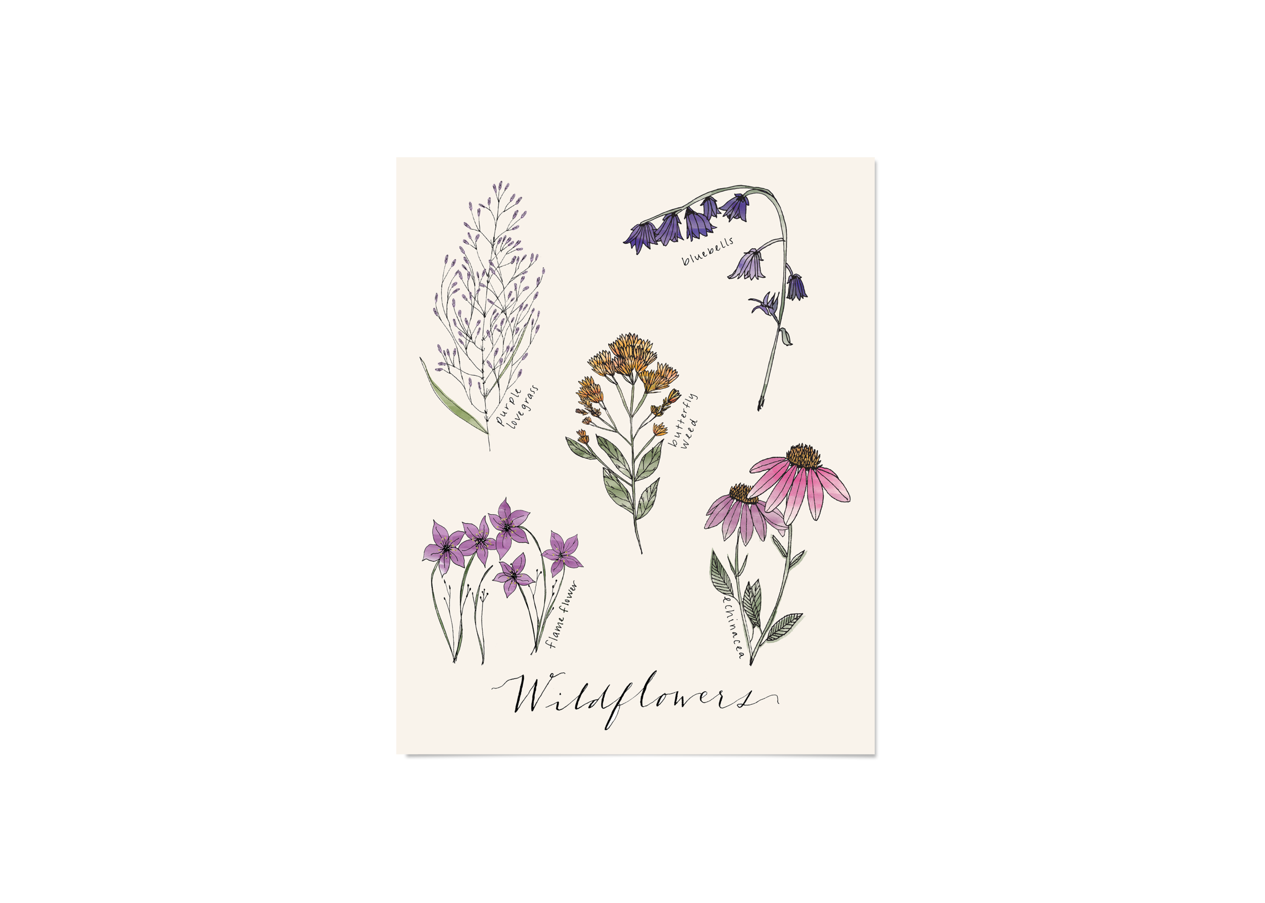 LS-ET004-Wildflowers Print.png