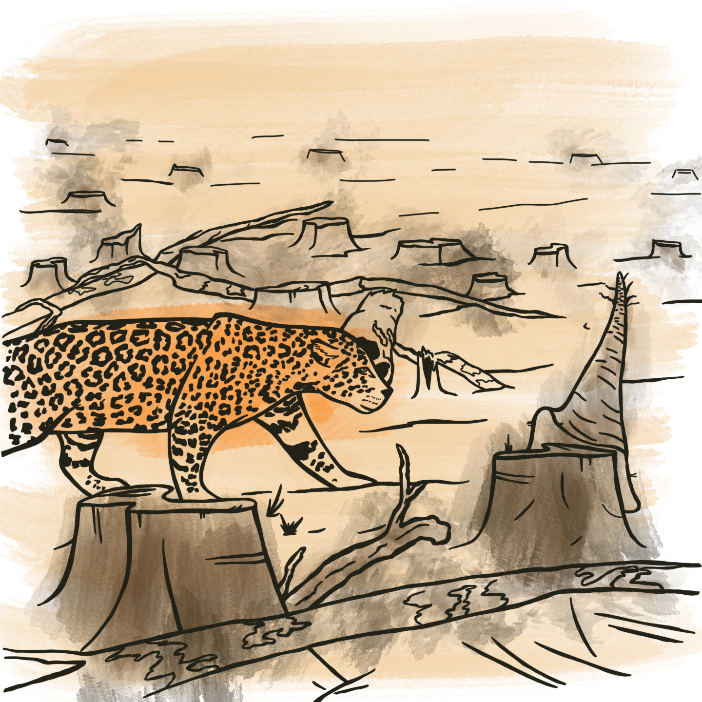 Stopping Illegal logging and deforestation.