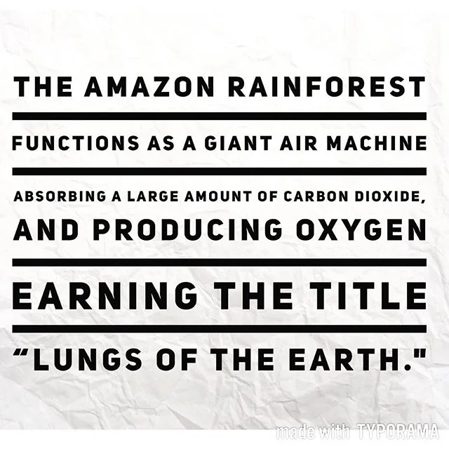 The incredible Amazon rainforest breathes in and out everyday. . .  #amazonrainforest #earth #incredibles #funfact #wisdom #caring #amazonjungle