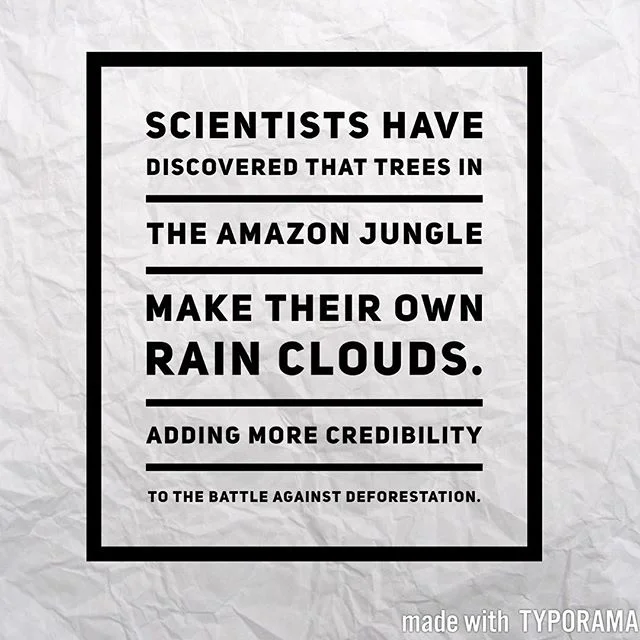It&rsquo;s an incredible truth the importance of the Amazon Jungle for planet Earth.  #rainforest #truth #facts #conservation #amazonjungle #amazon #nature #pactconservation #quotes #wisdom