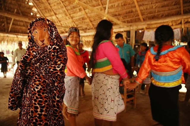 Here we get a warm jaguar village welcome in Imiria. Amazon Jungle communities live with big predators like Jaguars everyday, it&rsquo;s so important to have conservation projects that work with and directly benefit the people and also protect the an