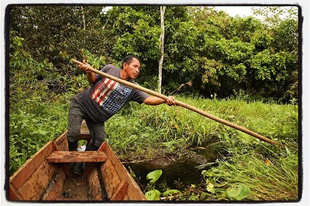 Some places are hard to reach - here we navigate the lagoons of the Amazon to set our camera traps  #amazon #lagoon #nature #amazonjungle #naturelovers #conservation #peru #ucayali #local #indigenous #pactconservation