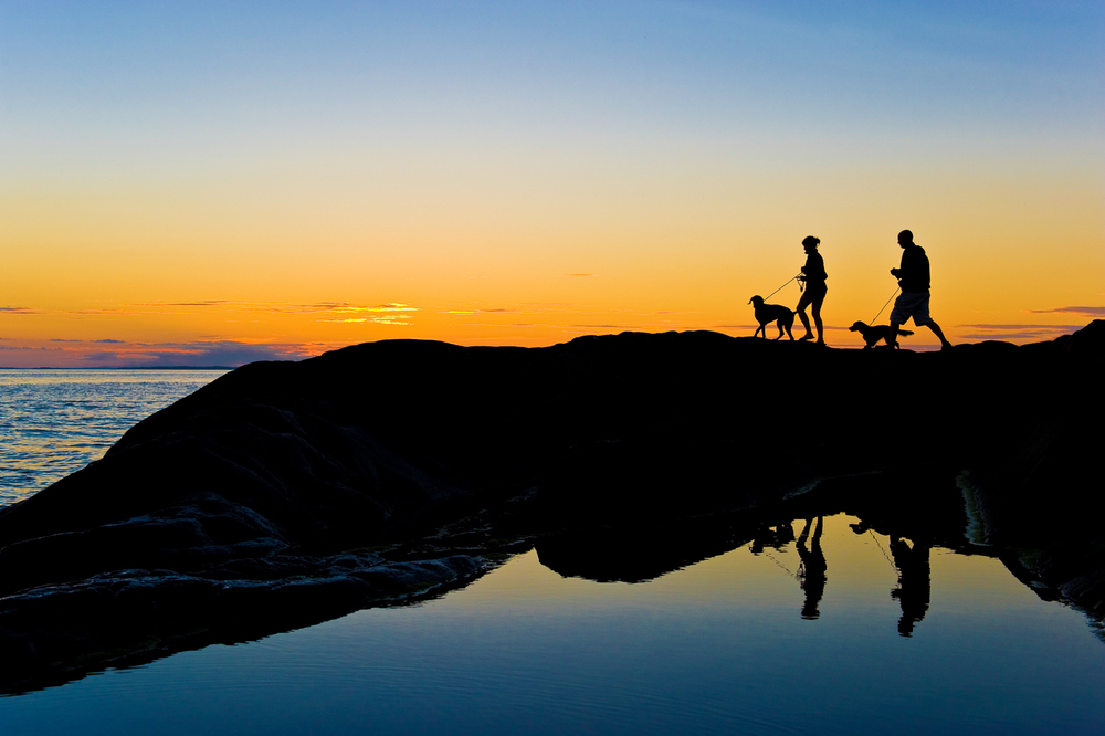 It is typically Scandinavian to go for a WALK OUTDOORS