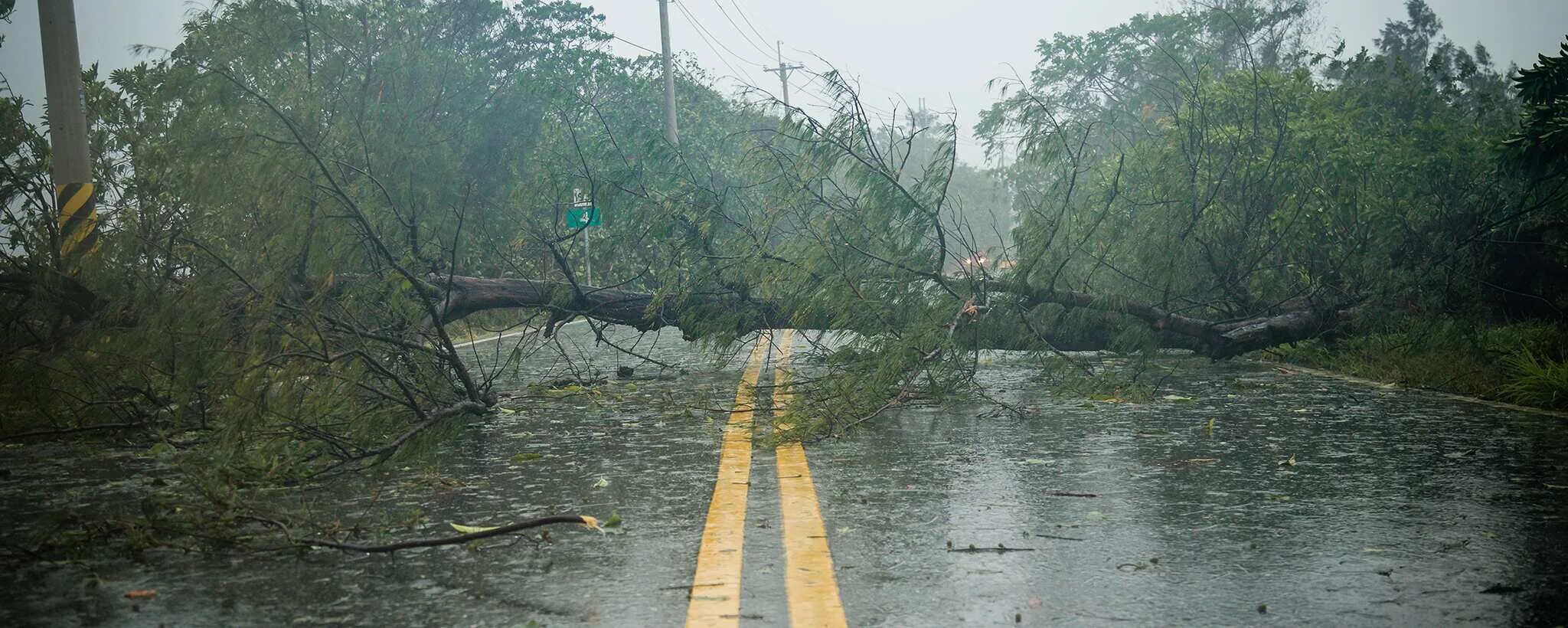 severe weather_3_0.jpg