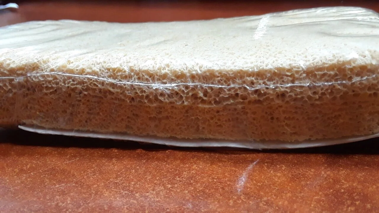 dry+sponge.jpg