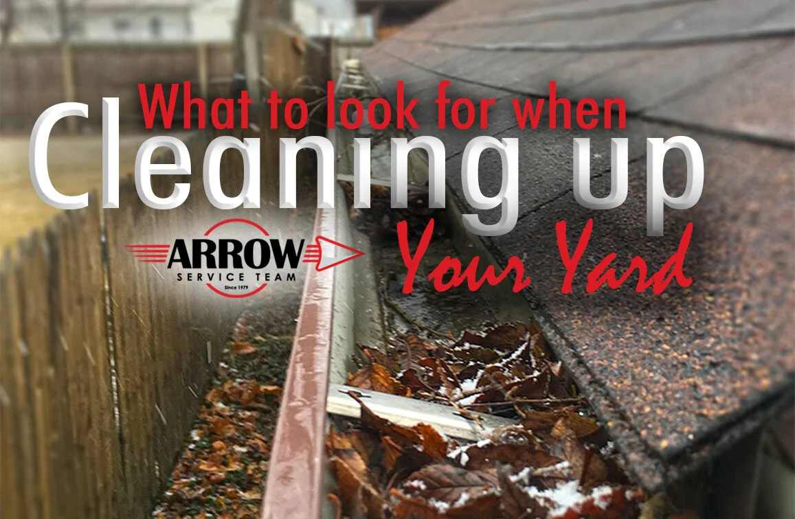 cleaning gutters.jpg