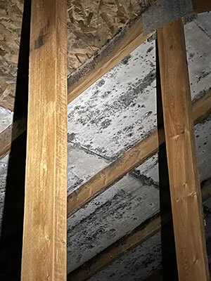 Improper Attic Venting - Mold Growth