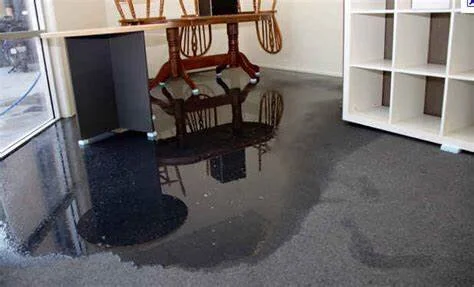 wet carpet.jpg