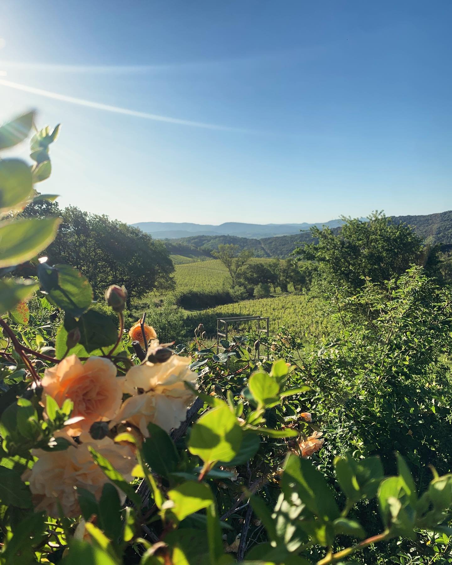 Un week-end d&eacute;contract&eacute;&hellip;

🍃

Nous avons des disponibilit&eacute;s pour le week-end de Pentec&ocirc;te. Contactez-nous pour plus d&rsquo;info.

#weekendauvert #gite #lefooding @lefooding #enjkey #escape #simplethings #occitanie #