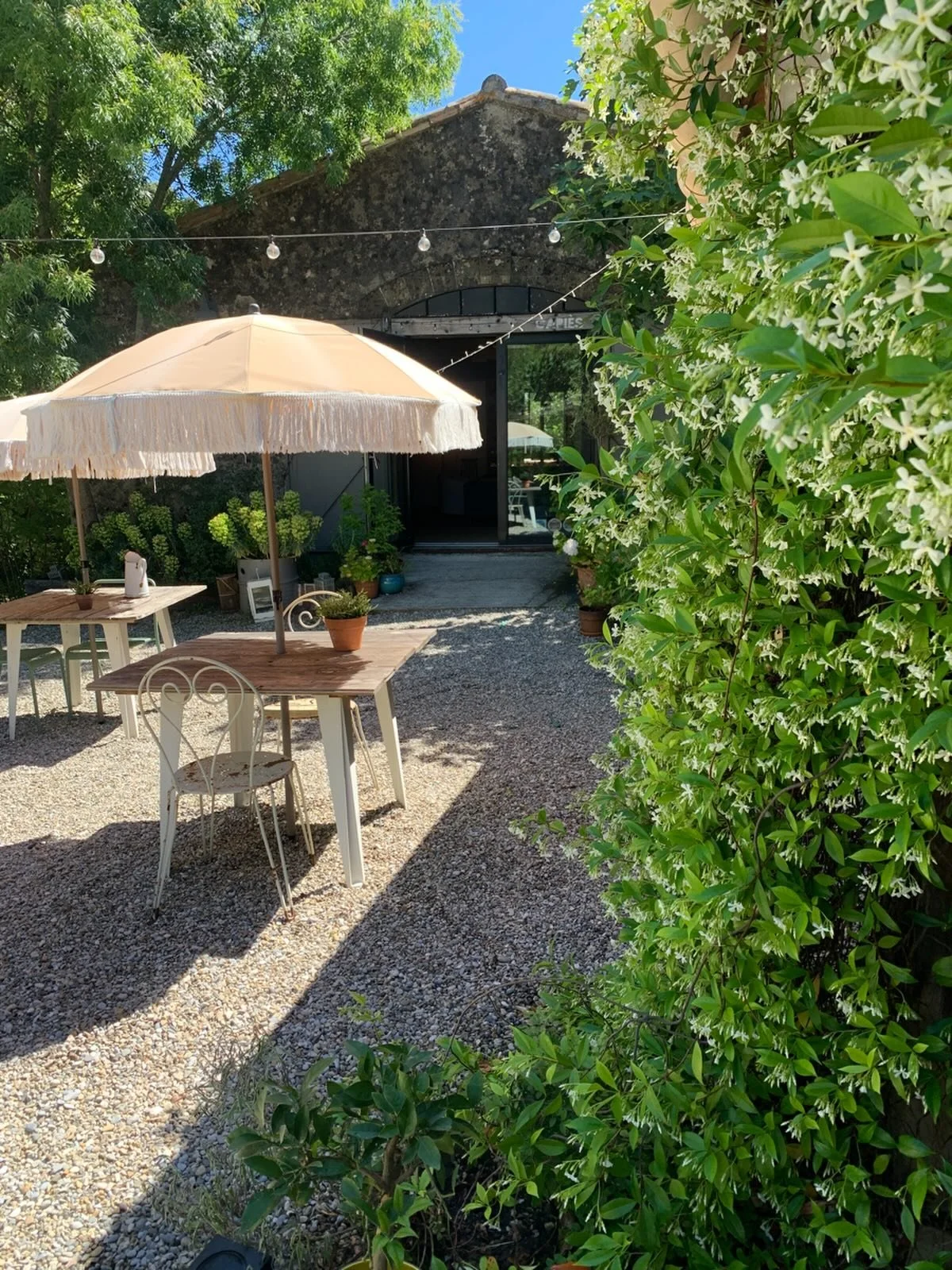 Hello! June is around the corner and is the most beautiful time of year to visit. Whether you want to chill, go hiking, cycling, swimming, wine tasting... We have g&icirc;tes available (scroll down). So, if you are not restricted to the school holida