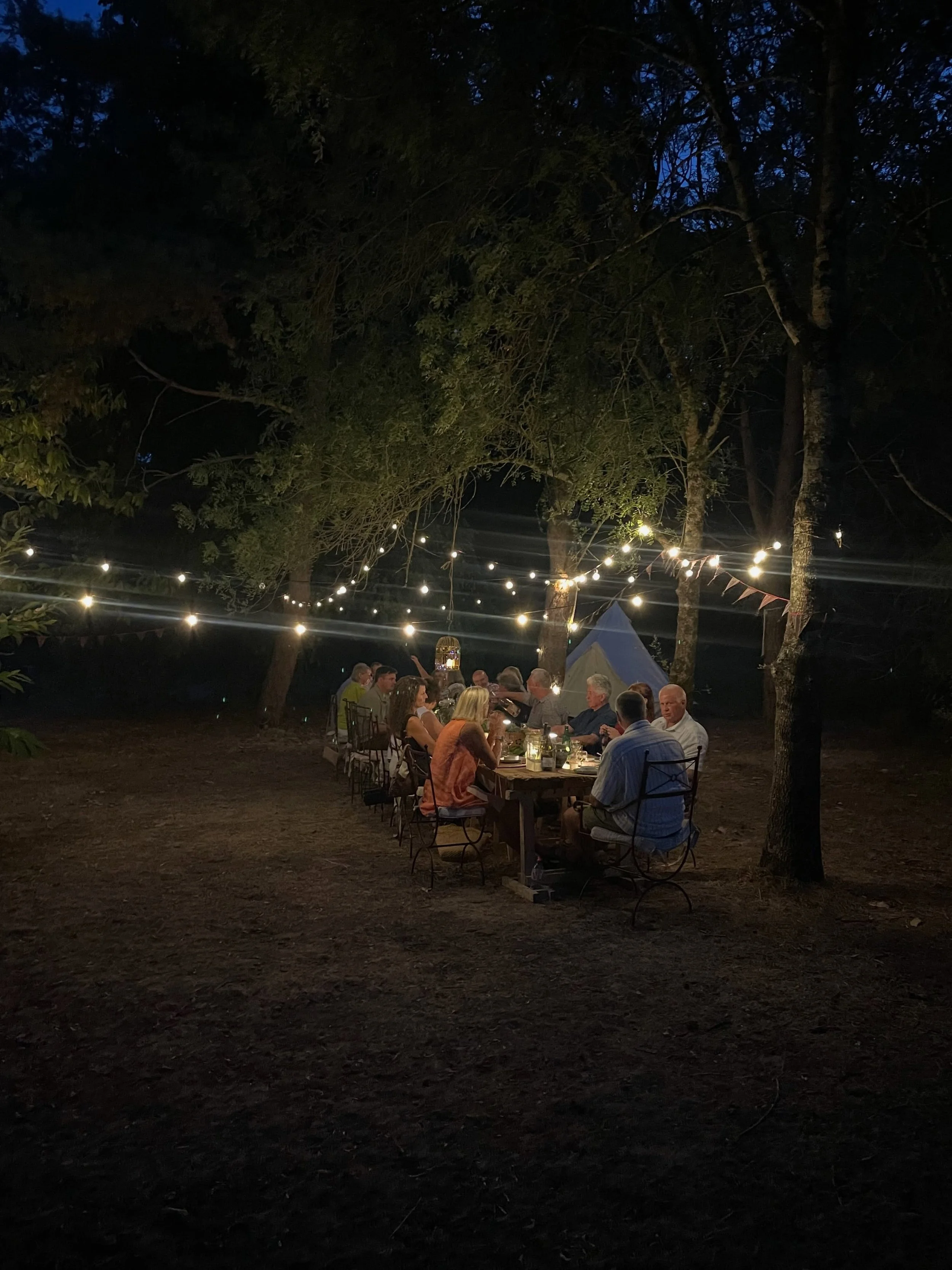 Beautiful pop-up dinner in the woods by @thomassleigh and Colleen near Roumengoux last night 🌲. I believe there will be more to come!

#summernights #ariege #dinnerinthewoods