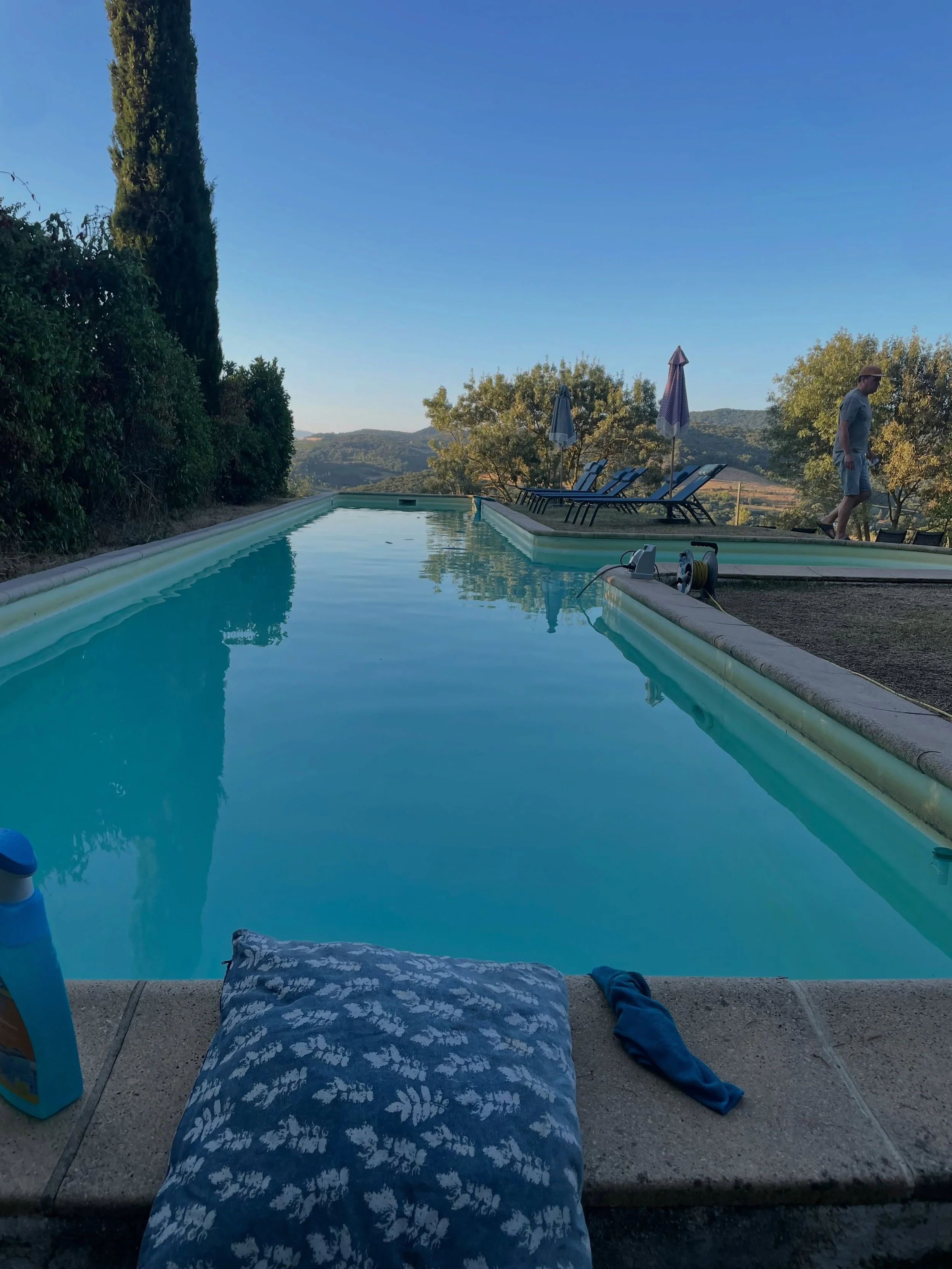Just love the early mornings here&hellip;cool air, crisp light, peaceful. 

Pool chores; some delicious gifts from the potager (only one bed going at the moment due to the water restrictions) ; and beautiful fresh eggs from our chooks (laid outside o