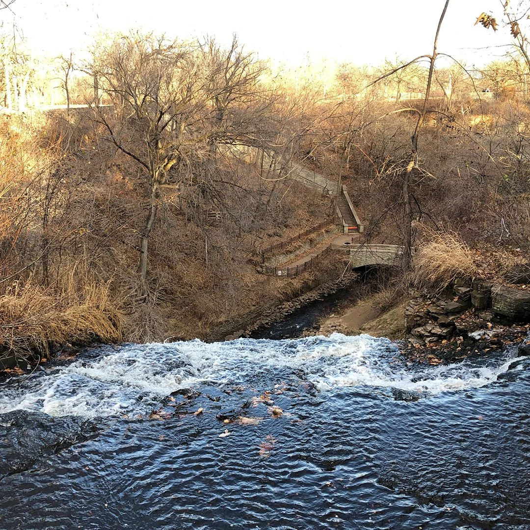 A Prayer for the World - Edward George