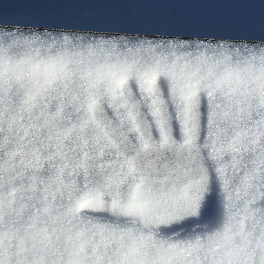 November 2022 Reading