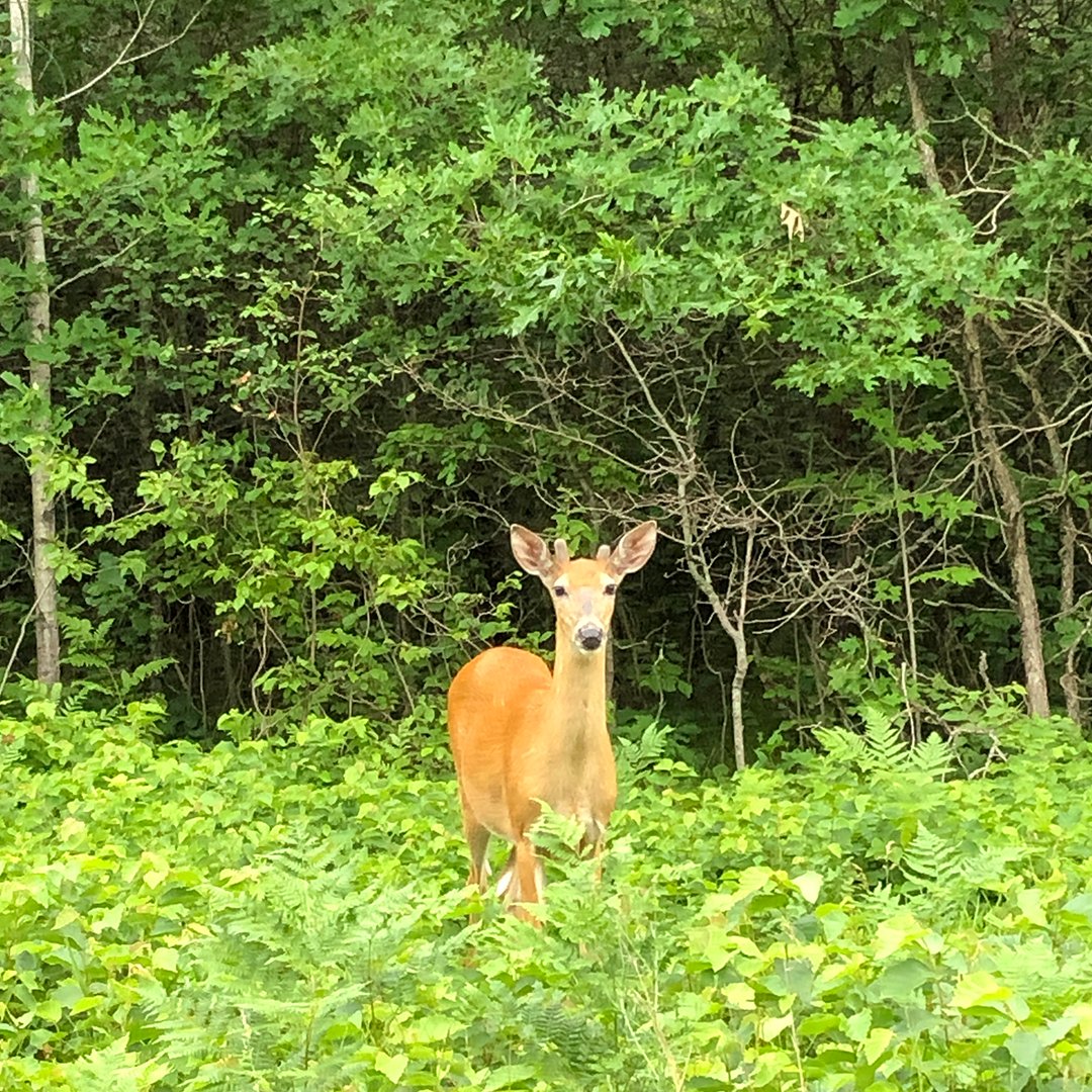 God is Saying to You Today
