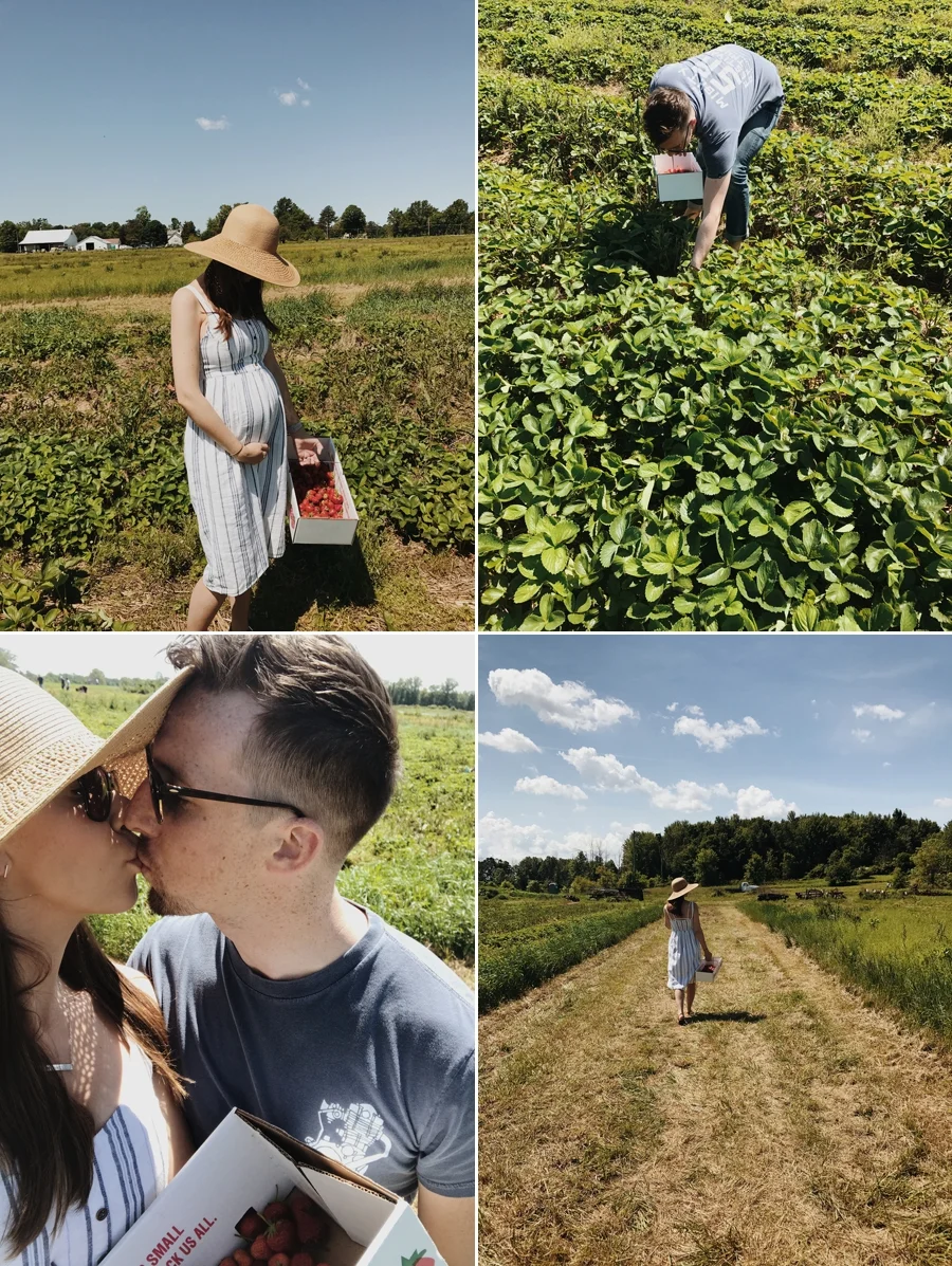 18 weeks strawberry picking with my honey babe. He's allergic but god love him for making my day anyways!
