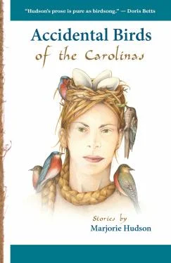 Accidental Birds of the Carolinas by Marjorie Hudson