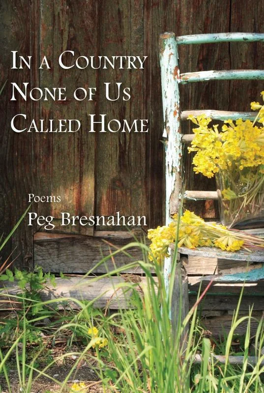 In a Country None of Us Called Home by Peg Bresnahan