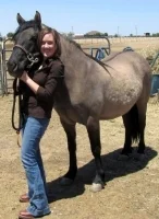 Chera Hammons Bear Country Horse Dealer Arachnology