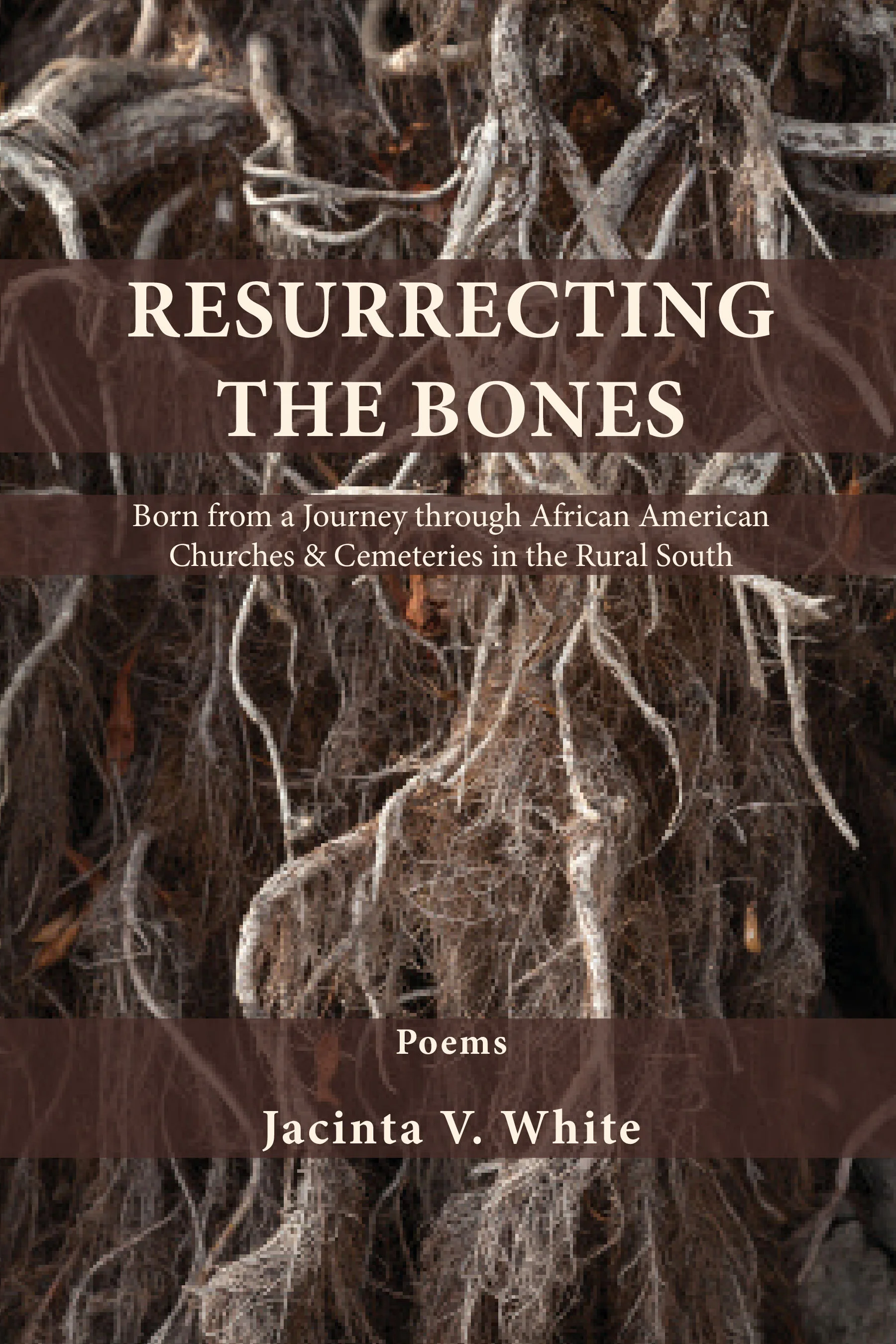 Resurrecting the Bones by Jacinta V. White